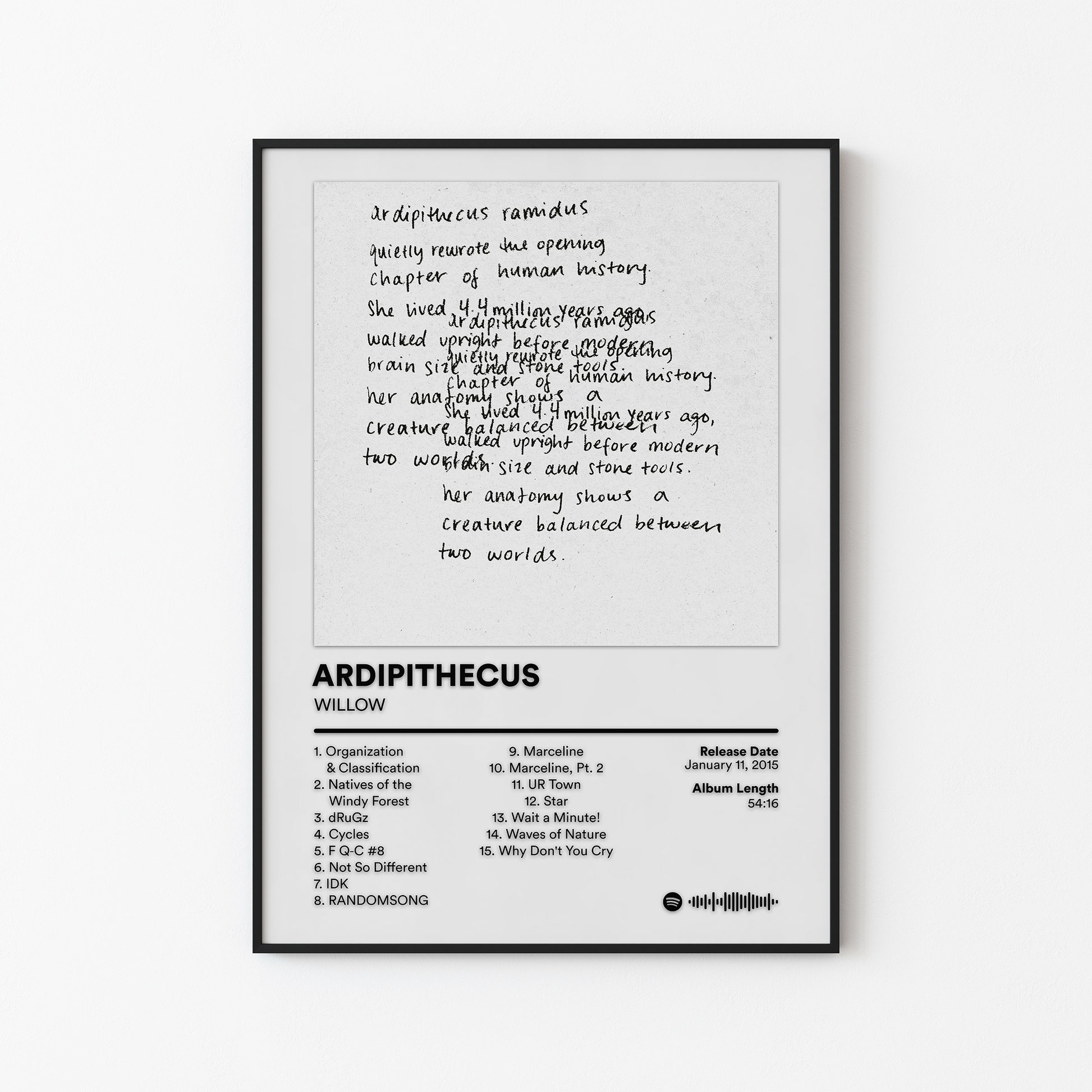 WILLOW ARDIPITHECUS Album Poster