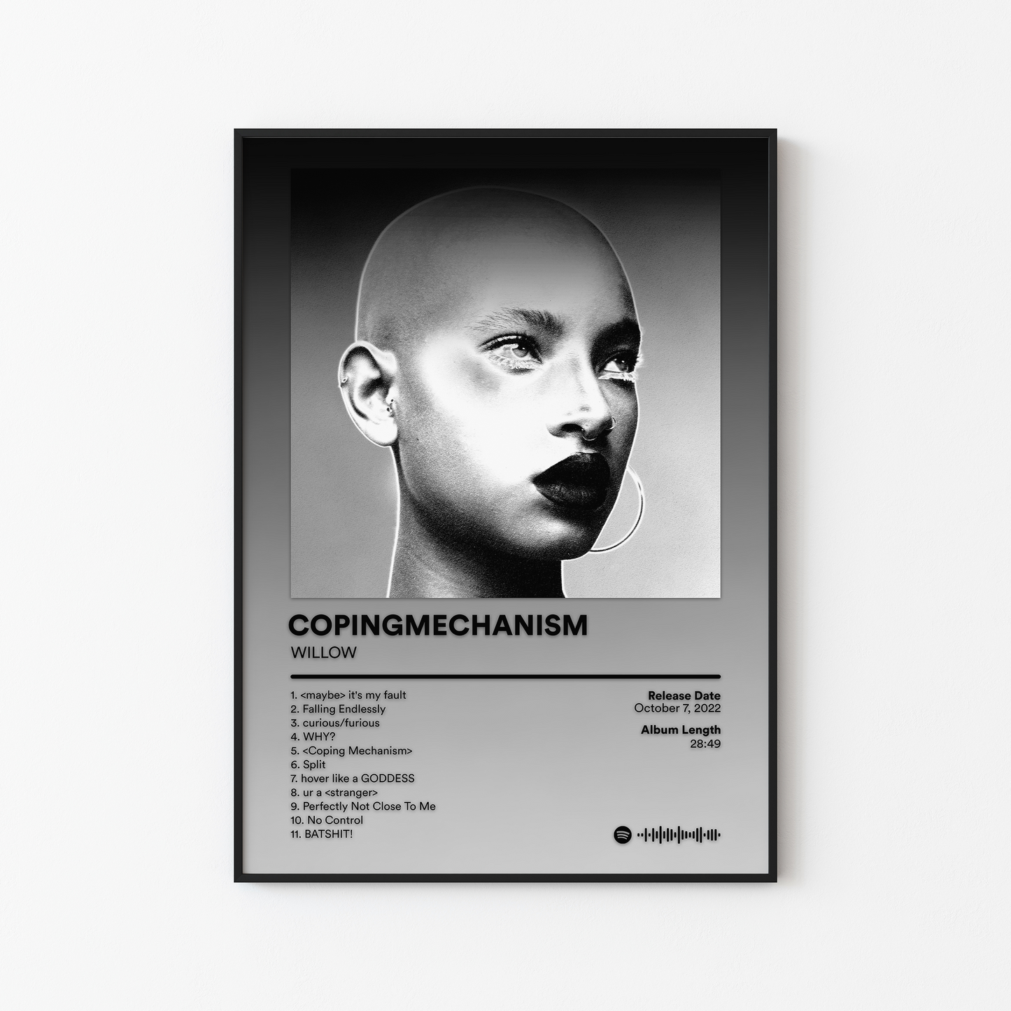 WILLOW COPINGMECHANISM Album Poster
