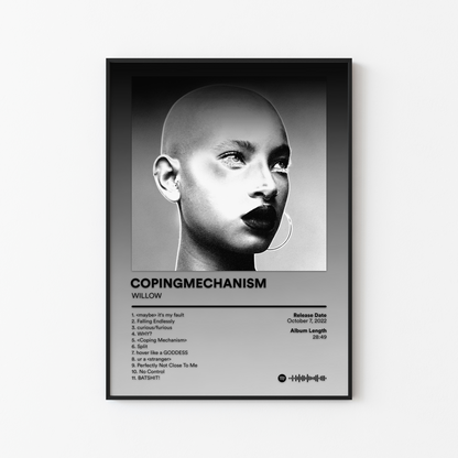 WILLOW COPINGMECHANISM Album Poster