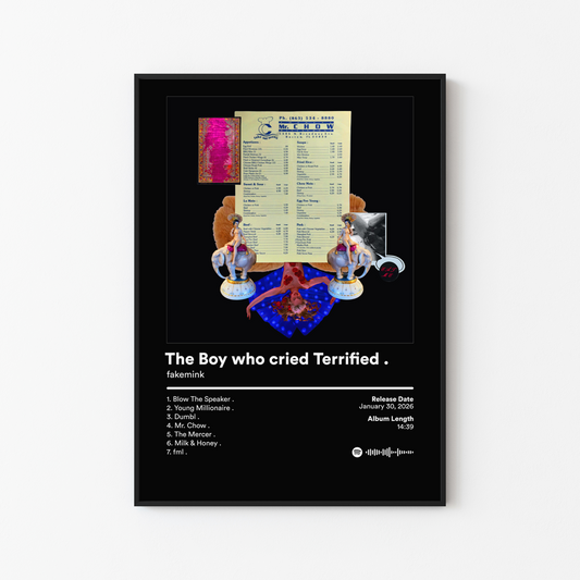 fakemink The Boy who cried Terrified . Album Poster