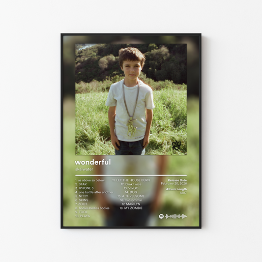 skaiwater wonderful Album Poster